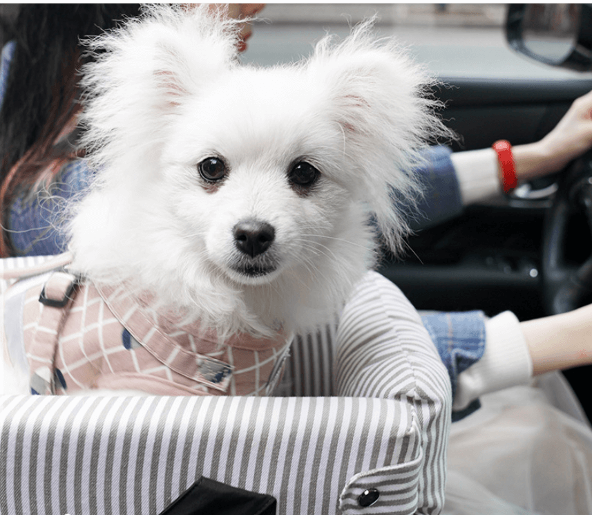 Central Control Safety Seat for Small Pets - LINWEY - Best Central Control Safety Seat for Small Pets