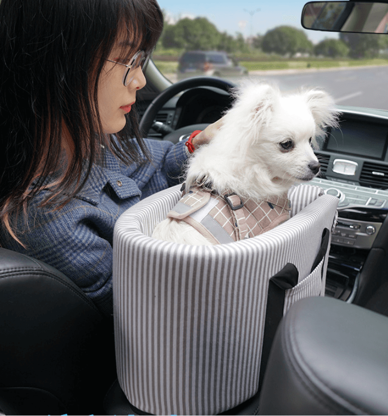 Central Control Safety Seat for Small Pets - LINWEY - Best Central Control Safety Seat for Small Pets