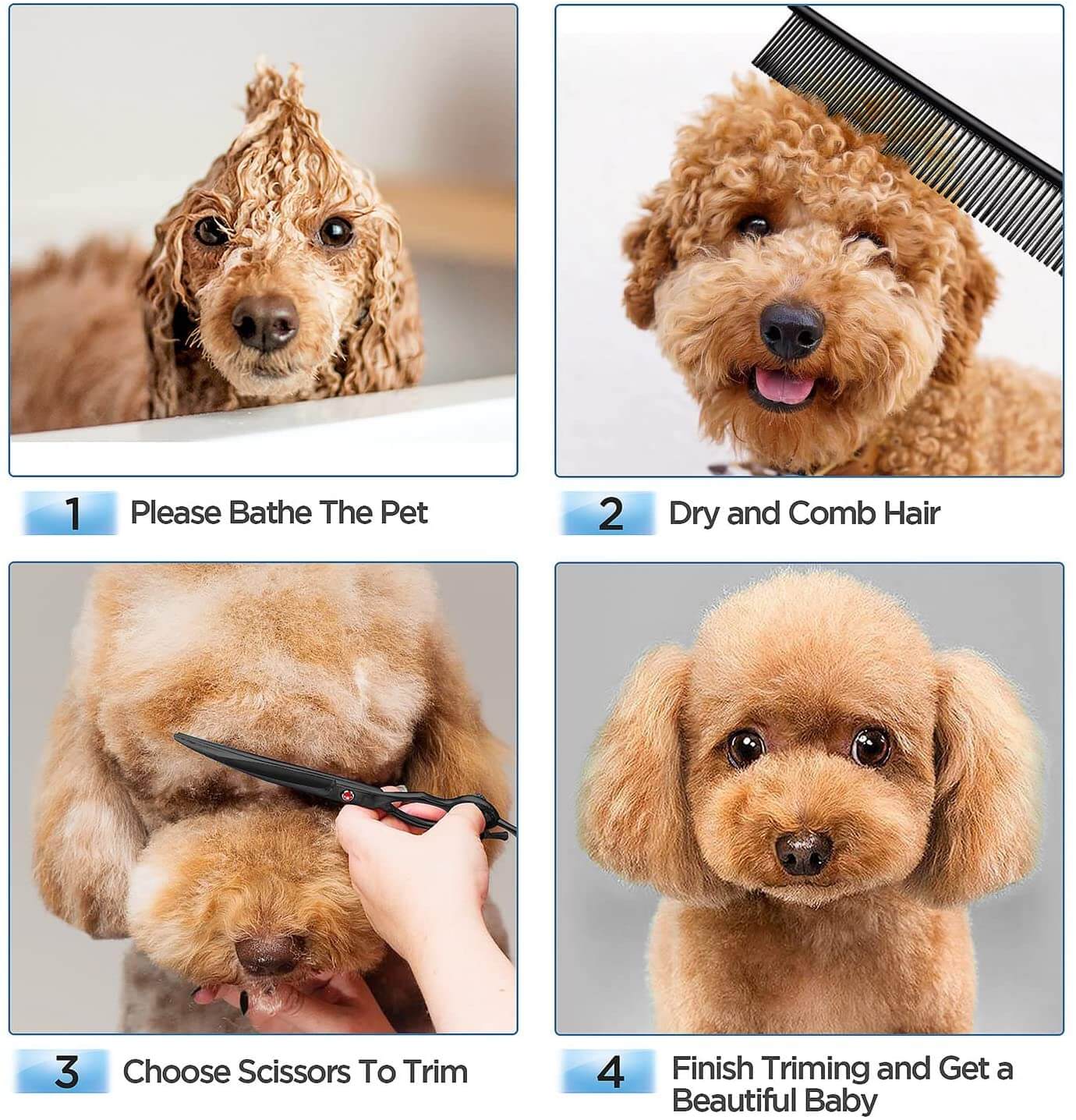 6 in 1 Professional Dog Grooming Scissors Kit - LINWEY - Best 6 in 1 Professional Dog Grooming Scissors Kit