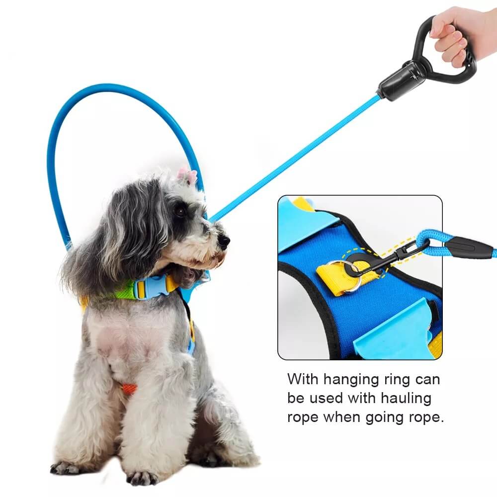 Blind Pet Anti-Collision Ring - LINWEY - Best Blind Pet Anti-Collision Ring