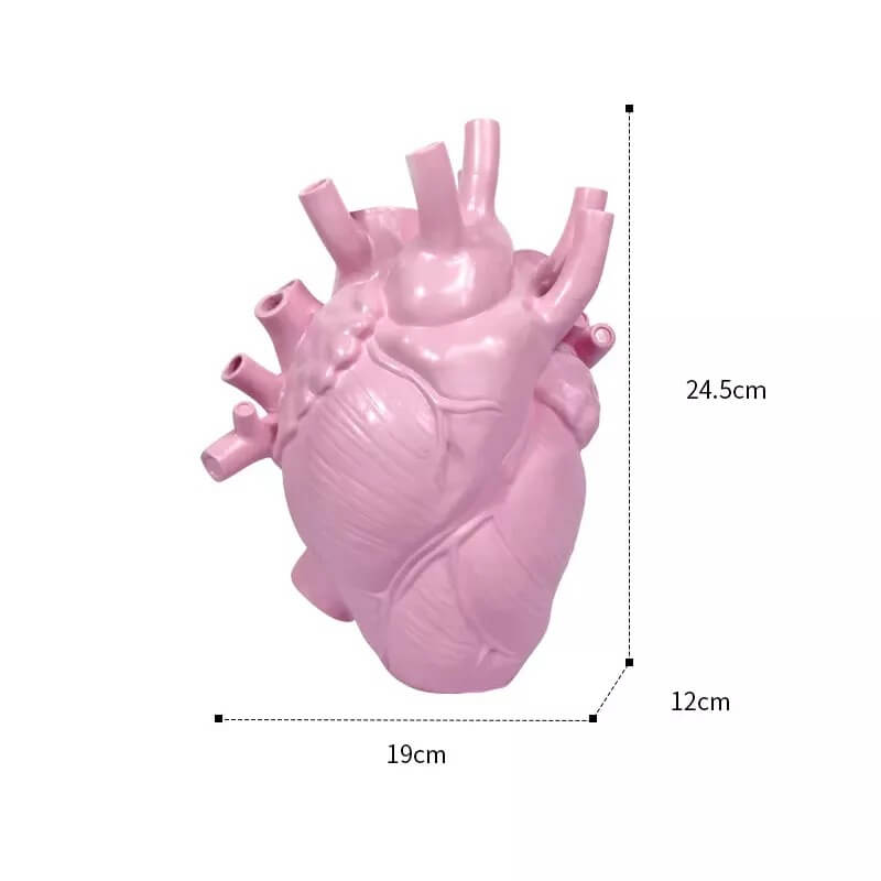 Anatomical Heart Vase - LINWEY - Best Anatomical Heart Vase